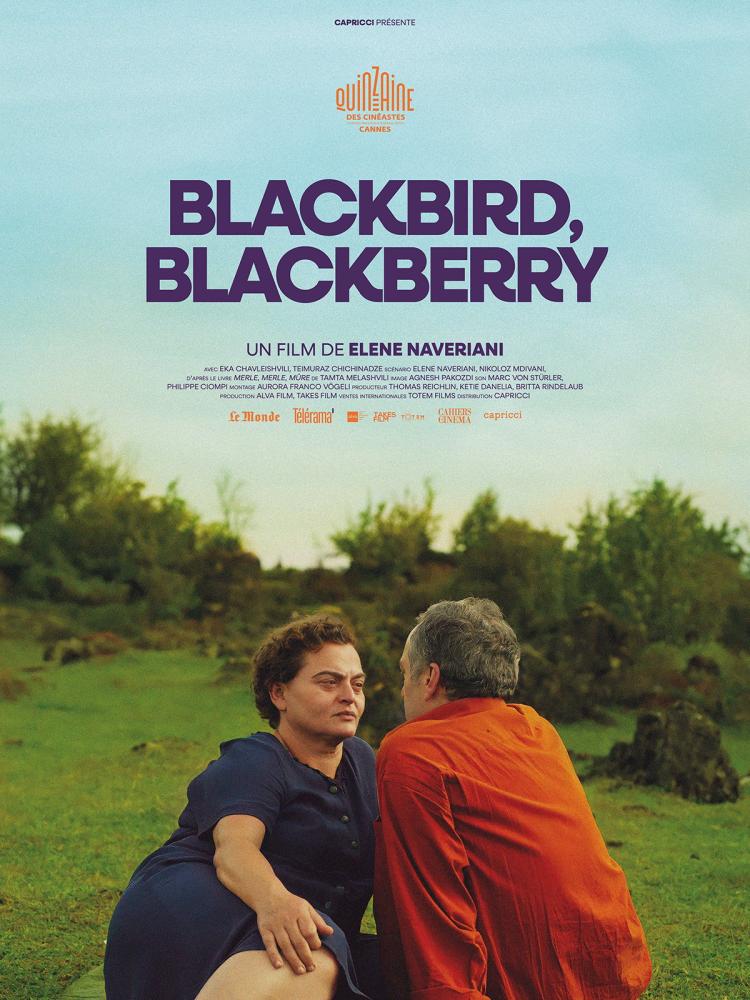 Affiche du film Blackbird blackbird blackberry