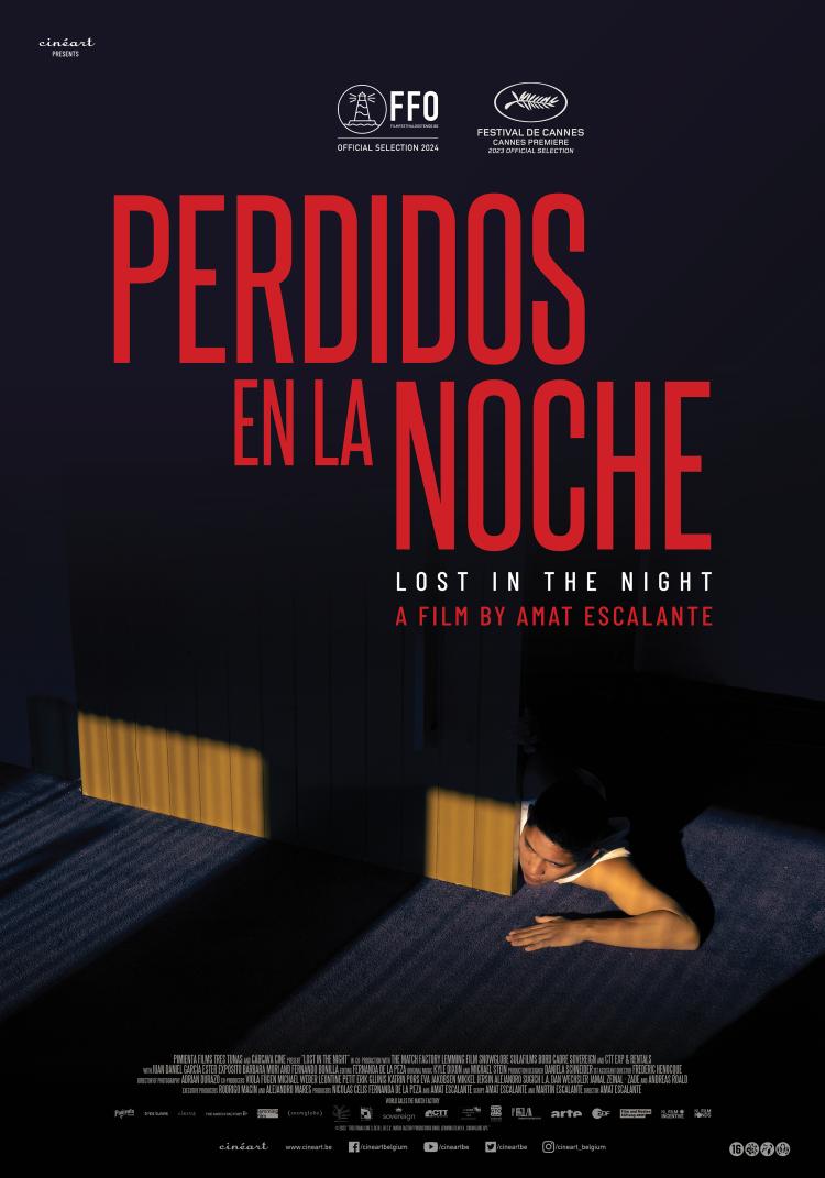 Affiche - Perdidos en la noche